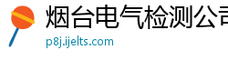 烟台电气检测公司